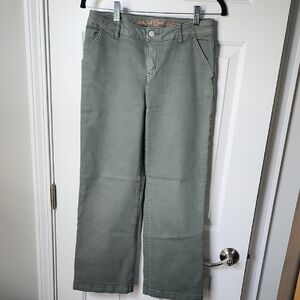 Cat & Jack Men's Straight-Leg Chinos in Olive Green